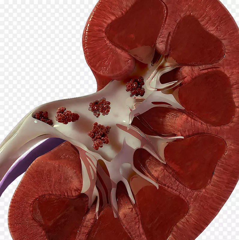 ����ܰ������ҩ��-������