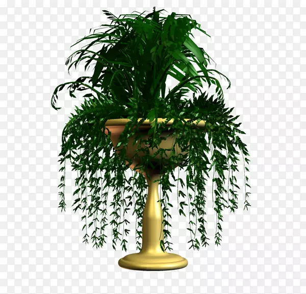 ���ܲ��ͼ�����-��-������