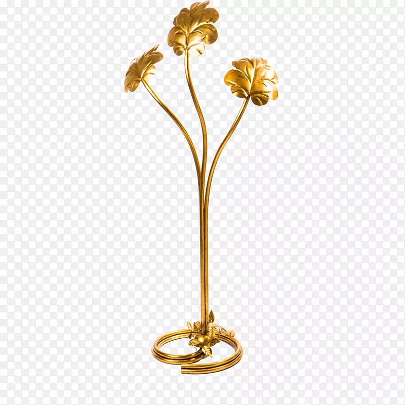 ��صƵ�ư���������������-������