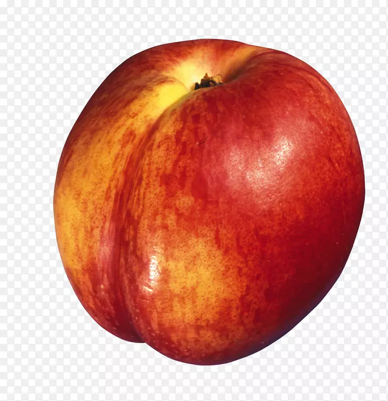 ���ң����ǣ����ӣ���ͨ����-������