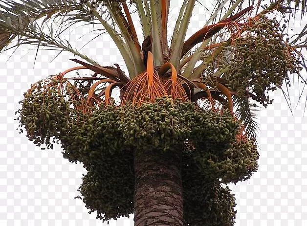 �棬�����-������Ĺ�ʵ-������