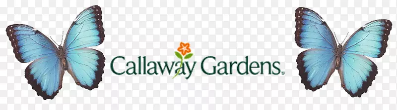 Microsoft azure����-������