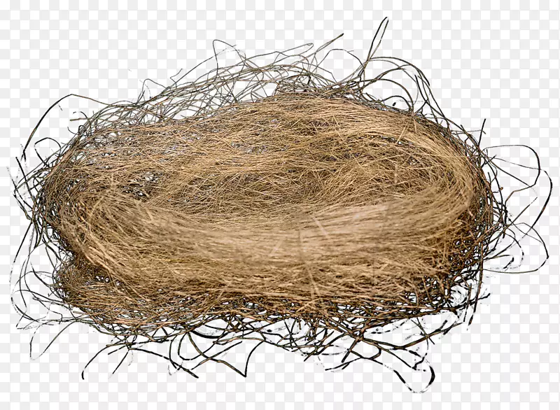 ����-������