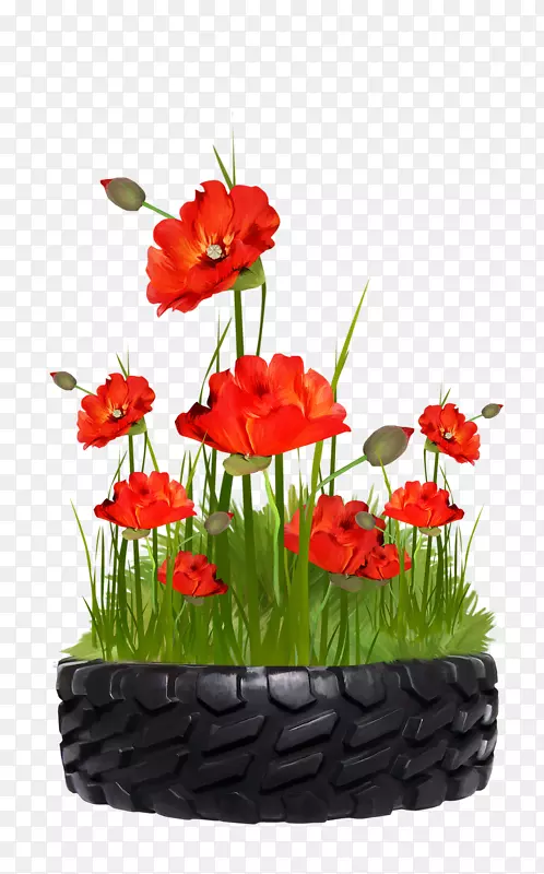 ������ƻ�ƿ-��-������