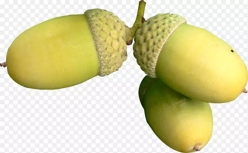 ����������-����-������