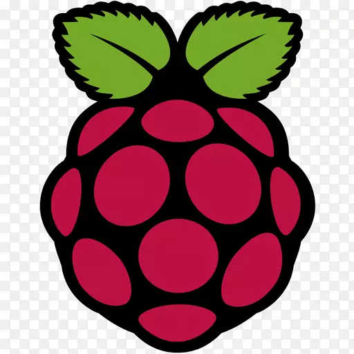 raspberry pi 3����������װ-�����-������