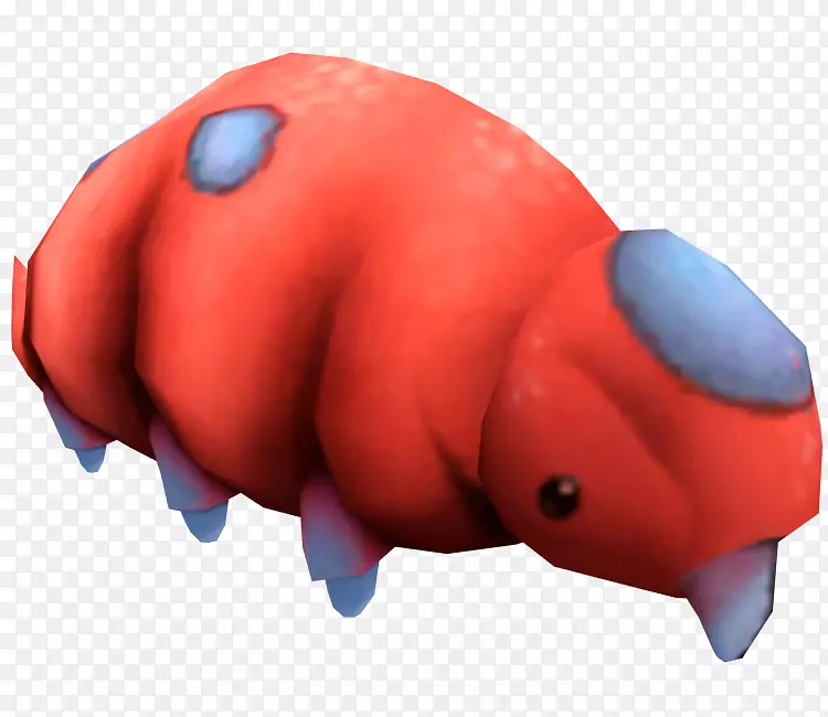 ������д���-������