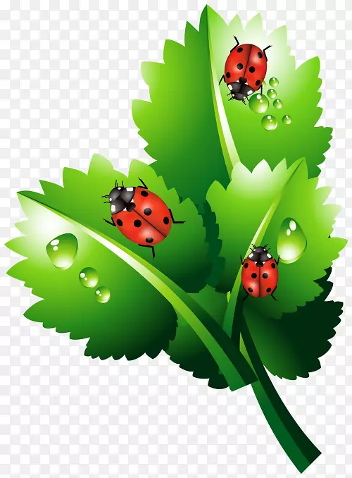 ����ư��-��������-������