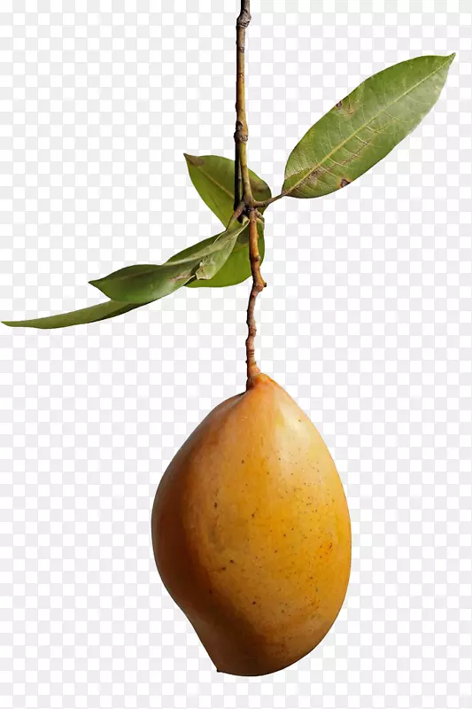 ��Ӱâ��-â��-������