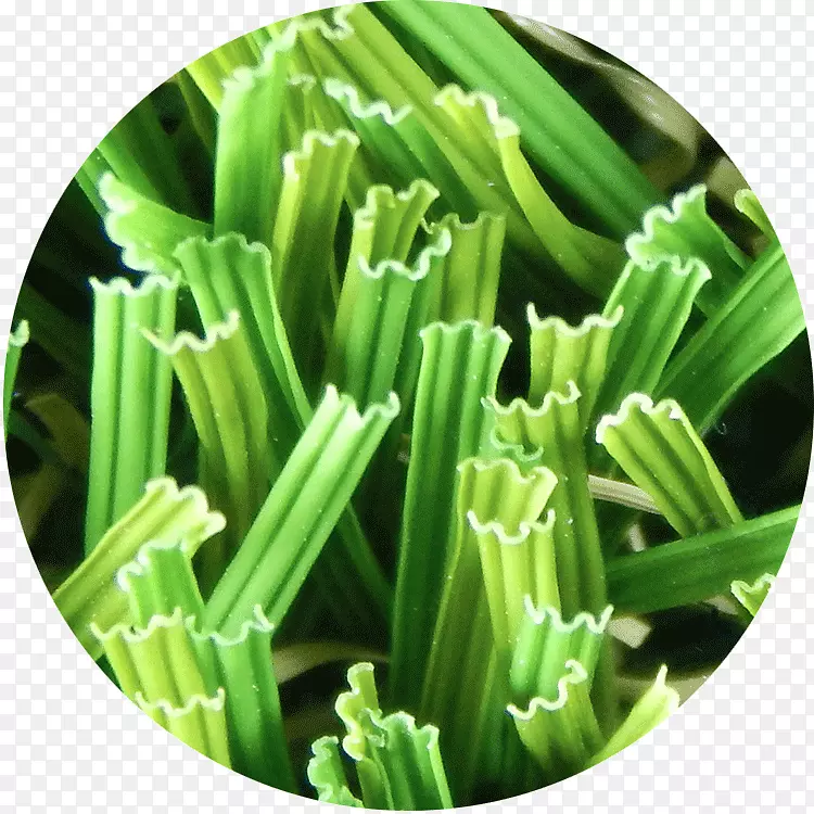 ��ƺ�˹���ƺ��԰��Ƥ��Ʒ-�����деĲ�-������