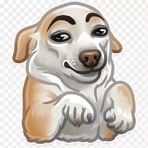 �籨���ո���ֽDoge WhatsApp-������