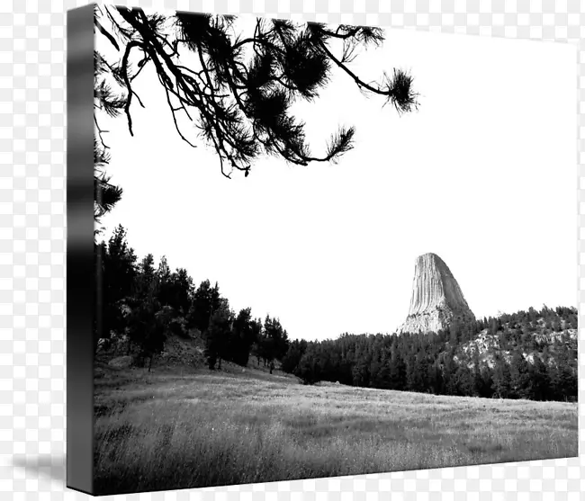 ��Ӱ��ɫ��֧-������