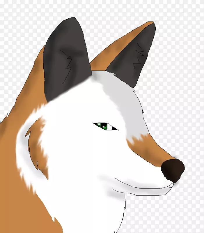 ����è������Ѽè-������