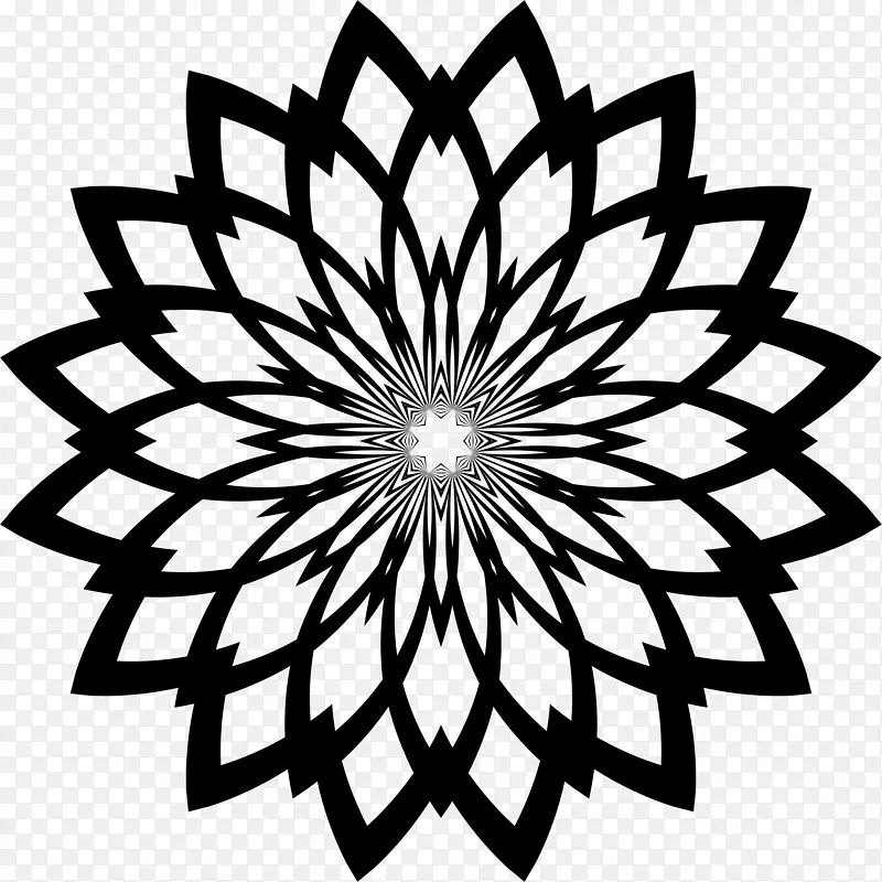 ��״����������������-������