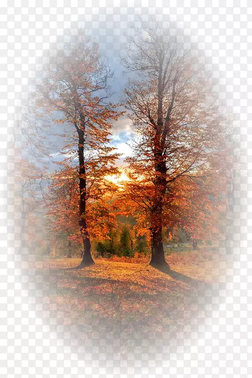 �羰��Ӱ������Ȼ��Ӱ-����-������