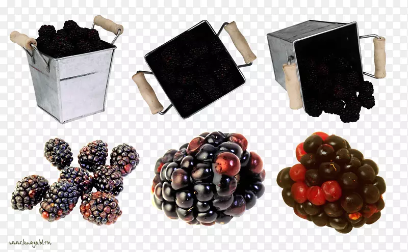 ��ݮ������-������