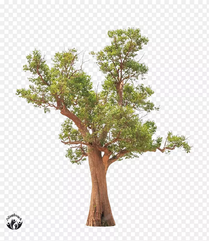 Ұ������ͼƬ-����-������