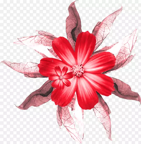 �л�õ�������-������