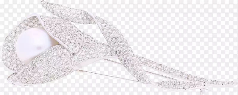 �鱦����ϵ��-������-������