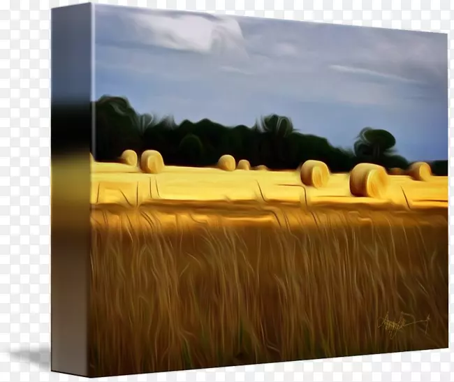 Ұ����Ȼ��ʷ����ݣ��Ҿߣ��ݣ���ͥ-������