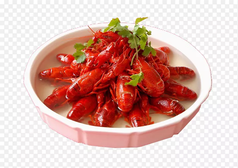 ������ϺCarideaϺPalinurus elephad-��ϺͼƬ-������