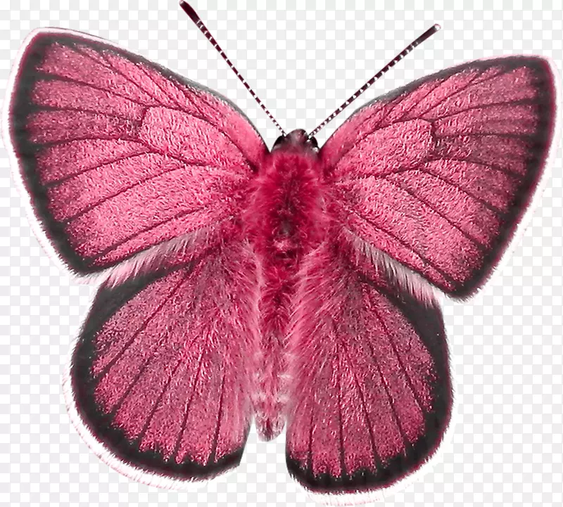 �������棬����ƣ��ɶ꣬����.��������-������