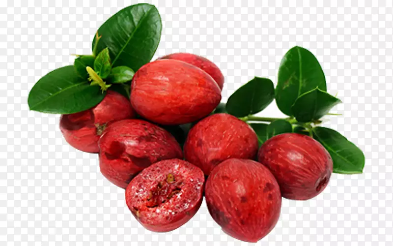 ����֭ˮ��Carissa carandas��ľ֭-������