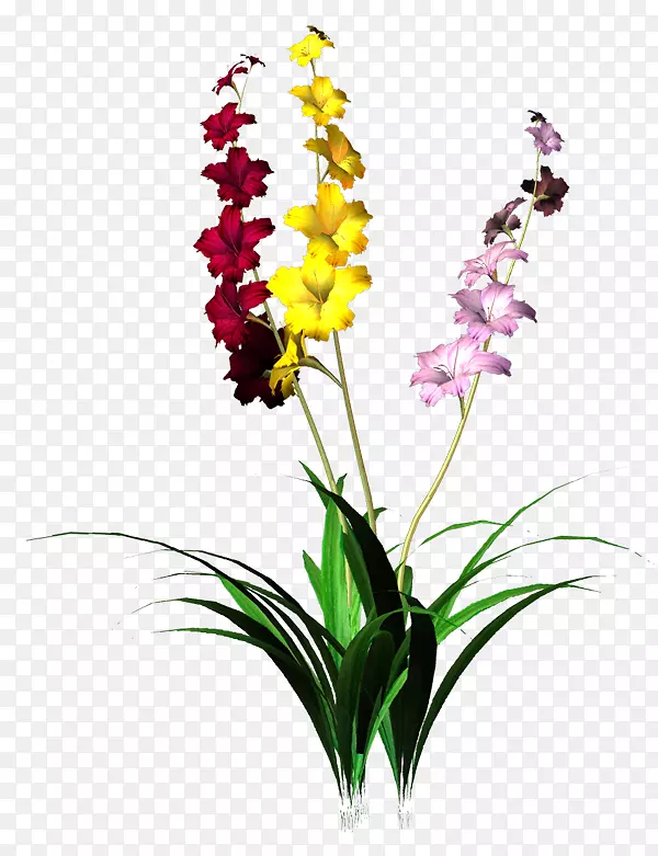 ����-��-������