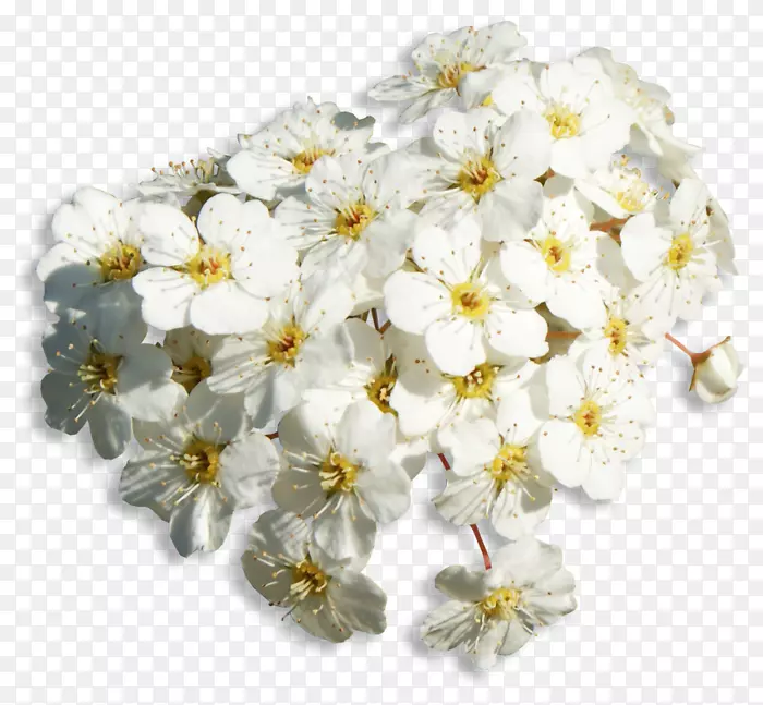 �����ͻ�-������������-������