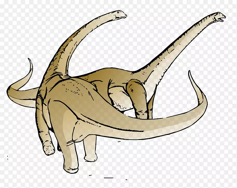 ����Ħ��������ݲ��ͼ�����-��ֻ����-������