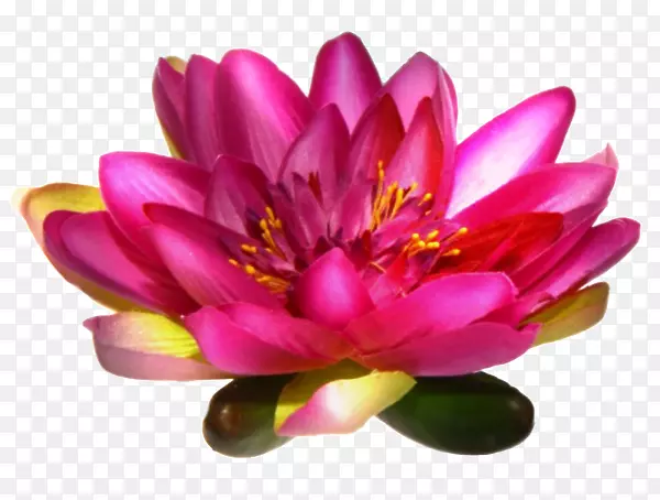 �����격��SkyRock����-��-������