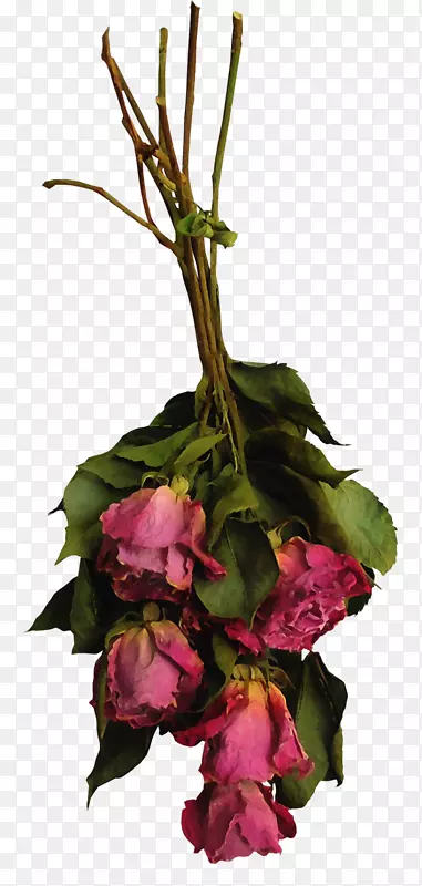 ��������л�õ�廨���ɻ�-������