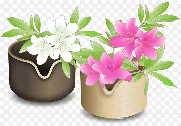 ���迪��ֲ��ݱ�ֲ��-��-������