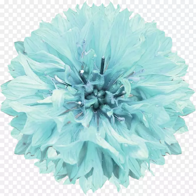 �л�����ʯ����-������