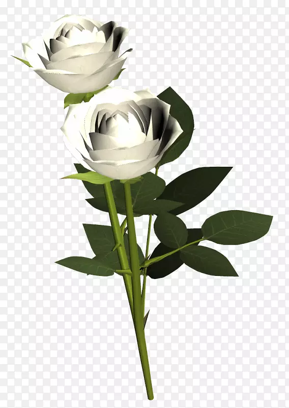 ��԰õ�廨�ܼ�����-���ܺ�ֲ��-������