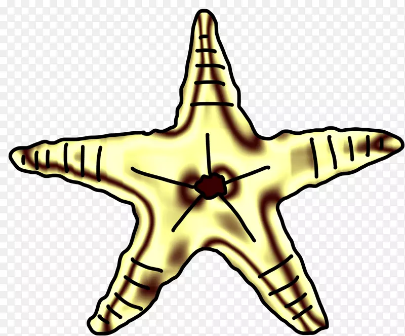 ���ǻ�Ƭ����-����-������