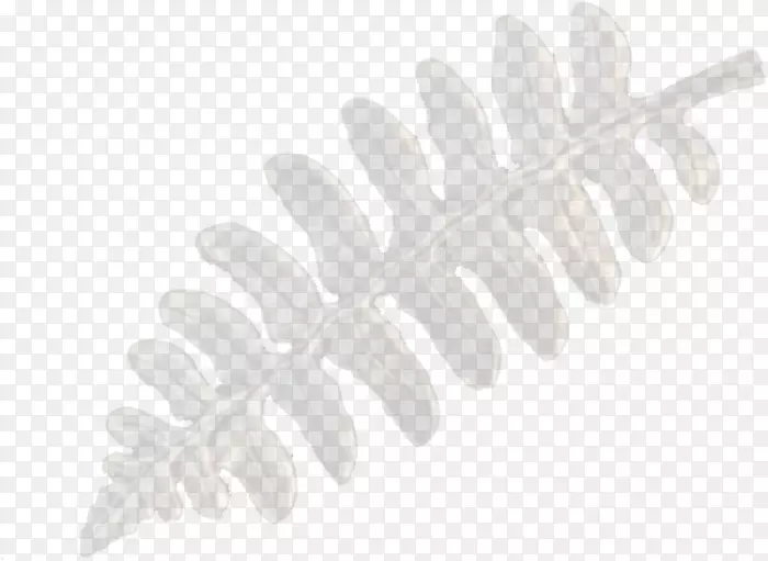 �׺���ë��-������