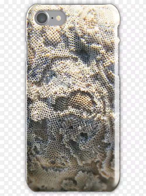 �������װ��-������