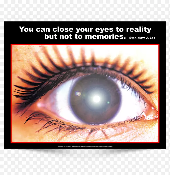 ��ɫ���۲�ϸ����ѧ-�����۾�-������