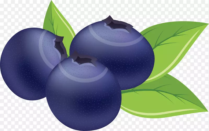 ����ˮ�ʻ���������ݮҶ-������