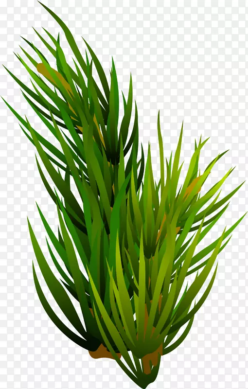 ͼ��-�򵥵��̲�-������