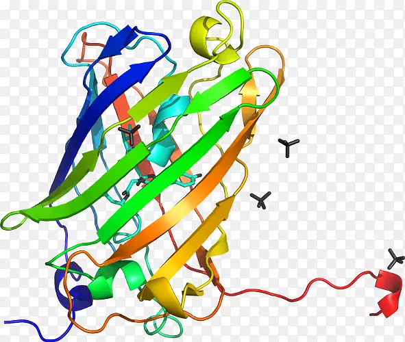 ����ƽ����Ƶ������.ˮĸ3d-������