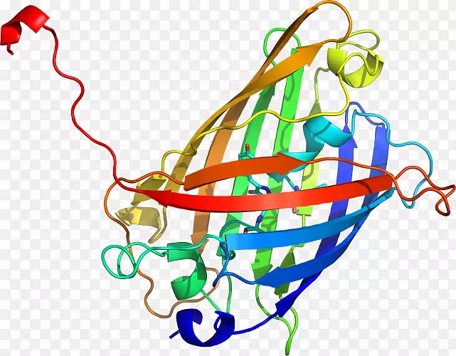 �ߵ����������.ˮĸ3d-������