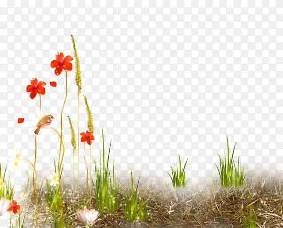 ��Ƭ���˲���-������