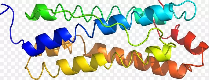 �л��������-������