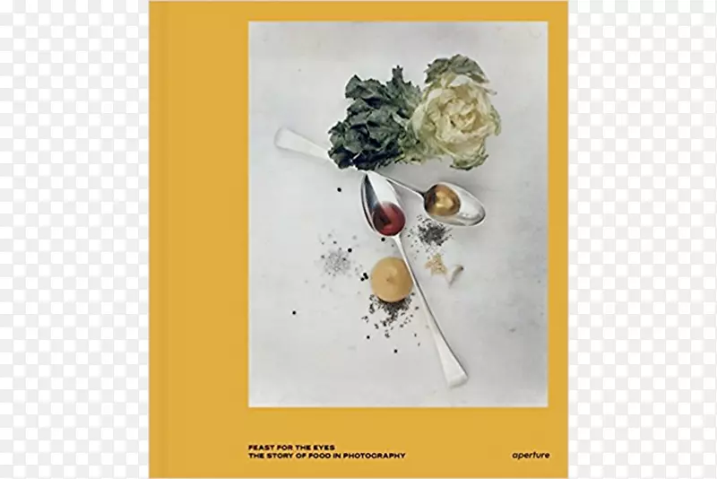 �Ӿ�ʢ�磺��Ӱ��ʳ��Ĺ�������������Ӿ�ʢ�磺������ʳ��Ӱ������-ȫ��ʢ��-������