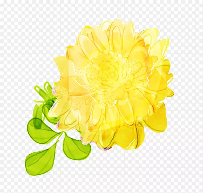 �ջ�ֲ��-�ջ�-������