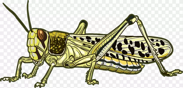 ɳĮ�ȳ�׳�������ȳ�-������