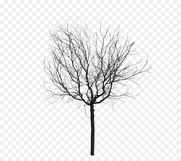 С֦���������ͼ��������������-������