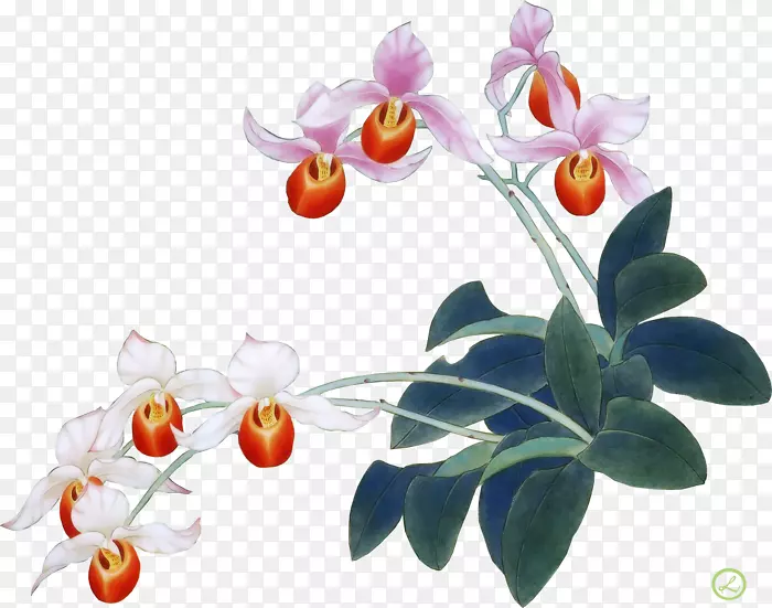 �ɶ꣬��������Ĥ����-��-������